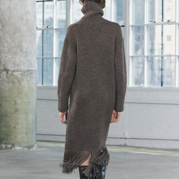 Women's Zara 100% Wool Turtle Neck Fringe Grey Taupe Midi Knit Dress Size XS-S - Picture 4 of 10